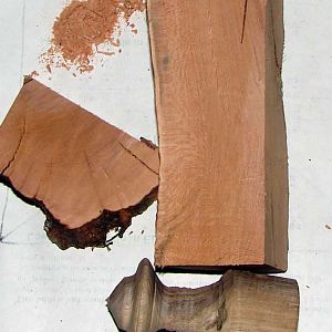 Mystery Wood with samples