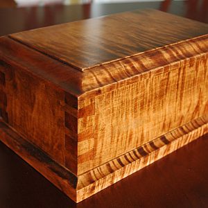 curley maple box