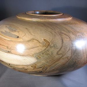 Spalted Maple Hollow Form (side)