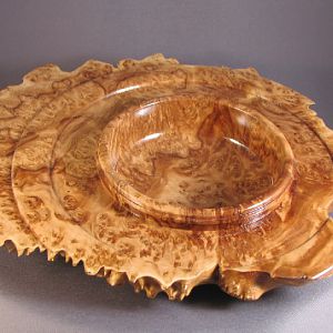Brown Mallee Burl winged bowl