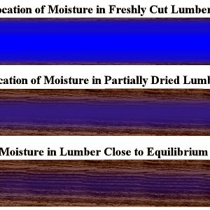 Moisture Distribution of NIE Lumber