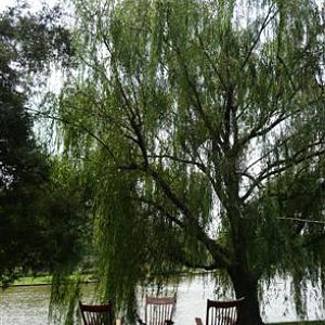 Rocking Chair Photo Shoot