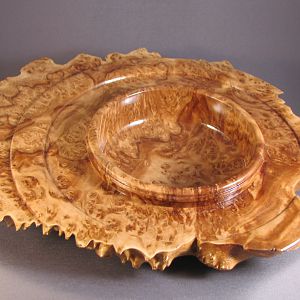 Brown Mallee Burl