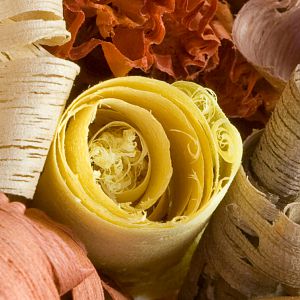 Colorful Shavings