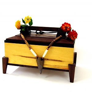 Hackberry/Walnut Jewelry Box