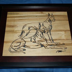 Great Danes