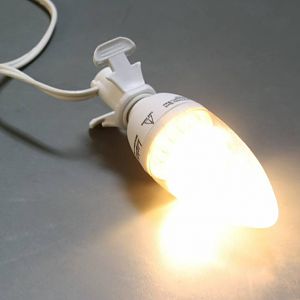 IlluminatedLED bulb
