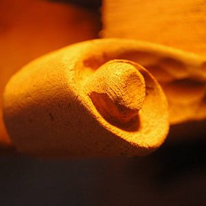 my first volute...