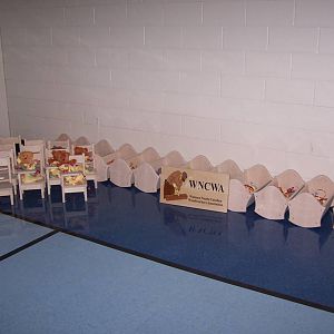 WNCWA Toys 2009