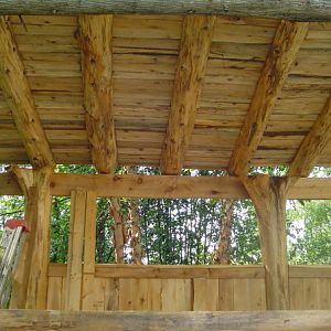 1/2 timbers for rafters, all MI White Cedar