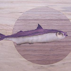 Finished Inlay
