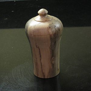 Toothpick dispenser in Spalted Holly