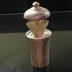 Toothpick dispenser in Spalted Holly