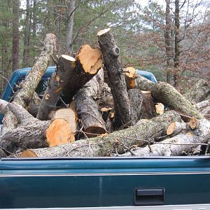 Truckload of Apple Wood
