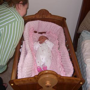 Cora's Cradle