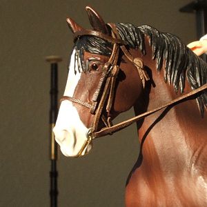 Braces for Model Horse Teeth