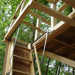 Tree Fort Supports and Ladder (8 July)