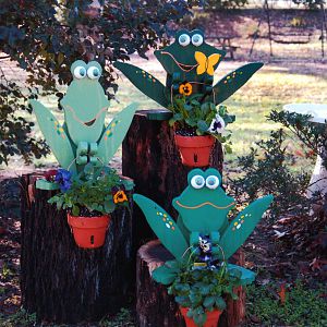 HAPPY FROGS
