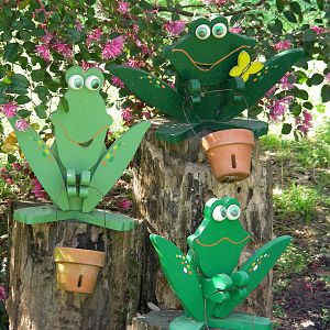 HAPPY FROGS