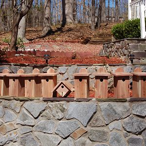 Bluebird Houses