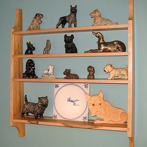 Dog Shelf