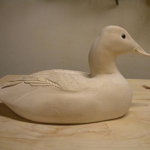Canvasback carving - winter project 2010-11