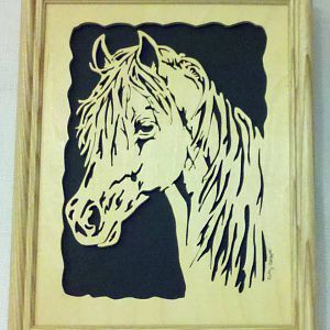 Horse portrait
