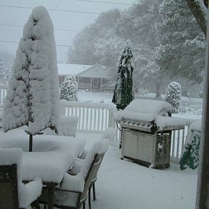 Snow 12-26-2010