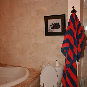 Shower Leak