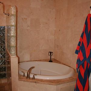 Shower Leak