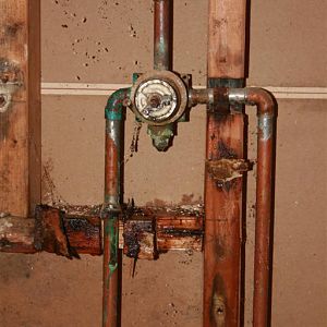 Shower Leak