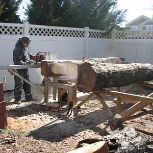 Logosol M5 milling maple