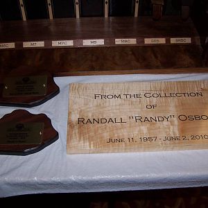 The Marsh Collection of Metallic Planes