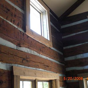 Rainforest on Log Cabin
