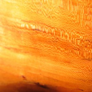 Earthpaint Wood Finish