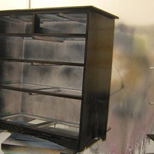 High School Senior's Project