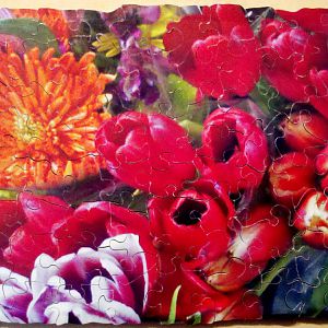 Red tulips and orange flower.