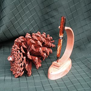 Pine cone pen
