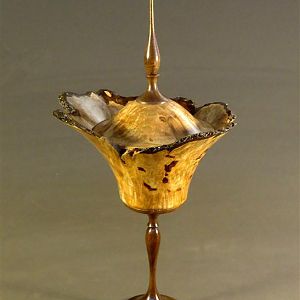 Maple Burl with lid