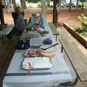 Picnic 2011