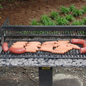 Picnic 2011