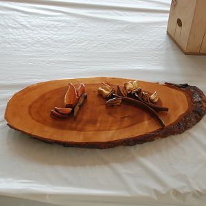 Picnic 2011