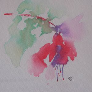 Loose Watercolor of summer fuchsia