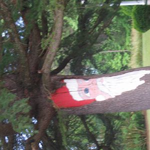 June_08_Santa_Lumber_Run_008