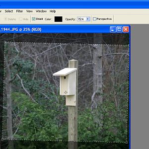 Resizing-select_crop