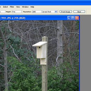 Resizing-crop_tool