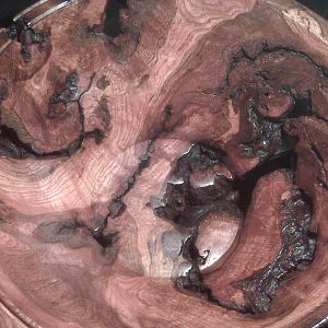 Red Oak Burl Bowl