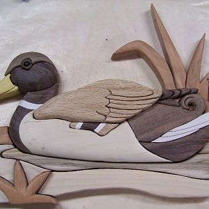 Duck Intarsia - unfinished