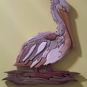 Pelican Intarsia