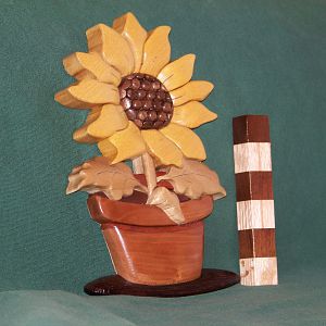 Sunflower Intarsia